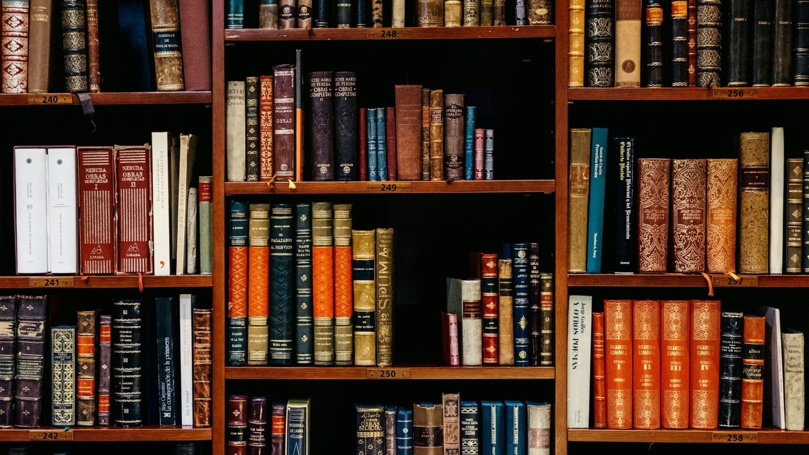 Business schools for MBA